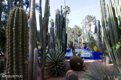 Jardin Majorelle